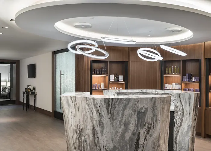 Hotel The Ritz-carlton,